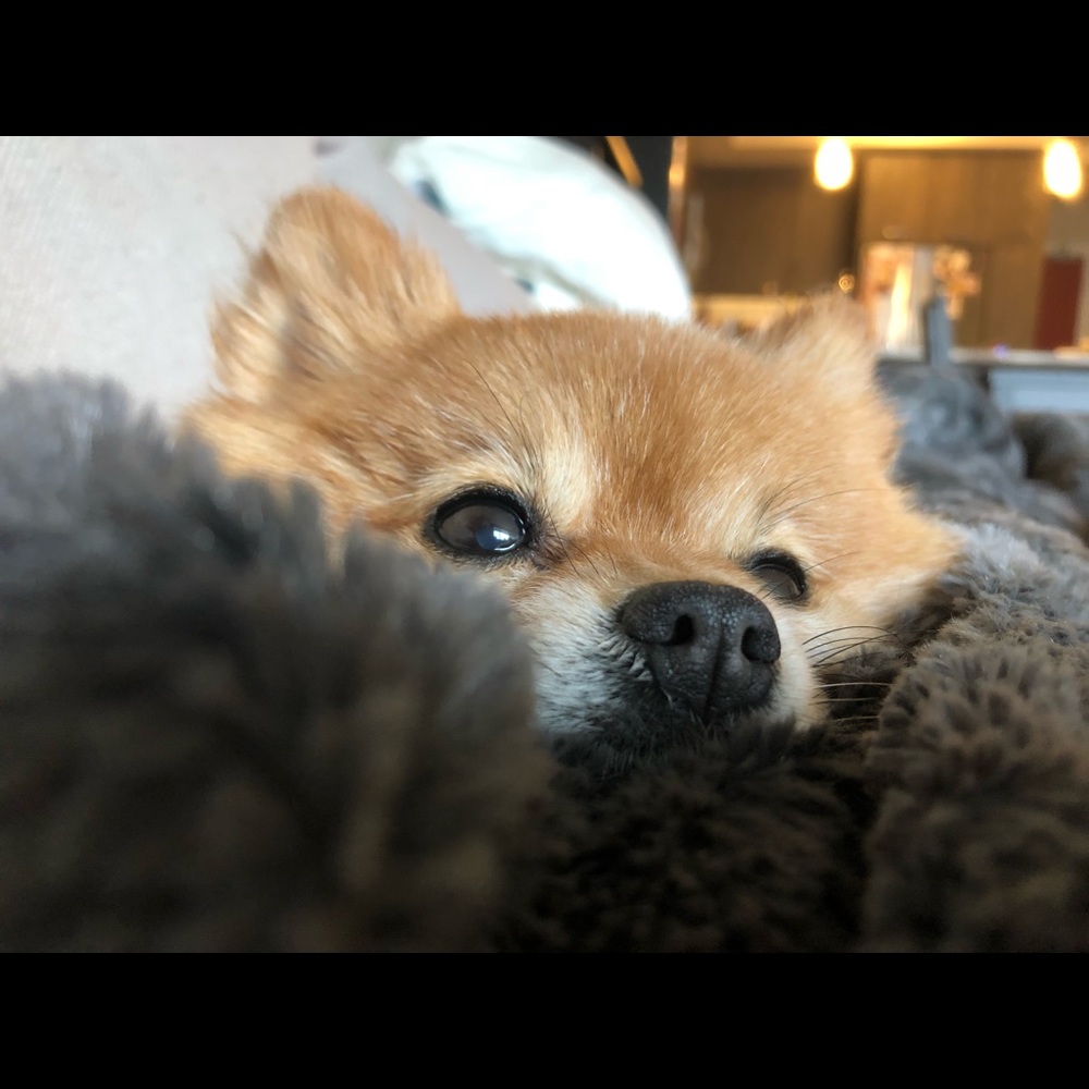 Meet your Posher, Kristkrista